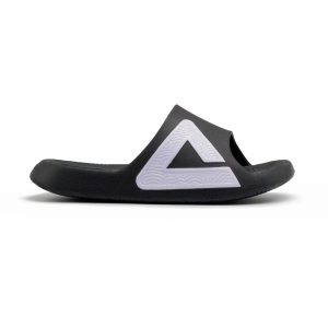 TAICHI SLIDES 1.0